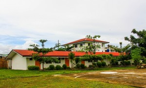 First English 外観