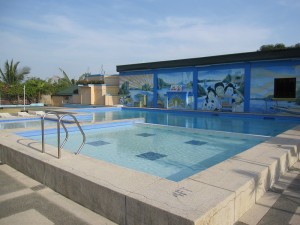 MMBS｜ターラック