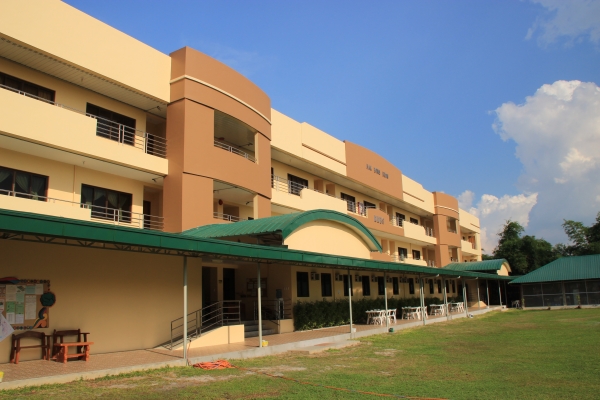 MMBS｜ターラック