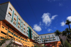 PINES Baguio｜バギオ