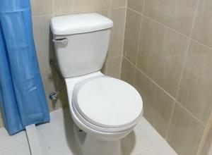 new_toilet
