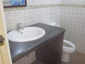 IEA-bathroom-2